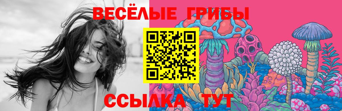 Псилоцибиновые грибы Psilocybe  Вход с VPN  Орехово-Зуево  Псилоцибиновые грибы Magic Shrooms 